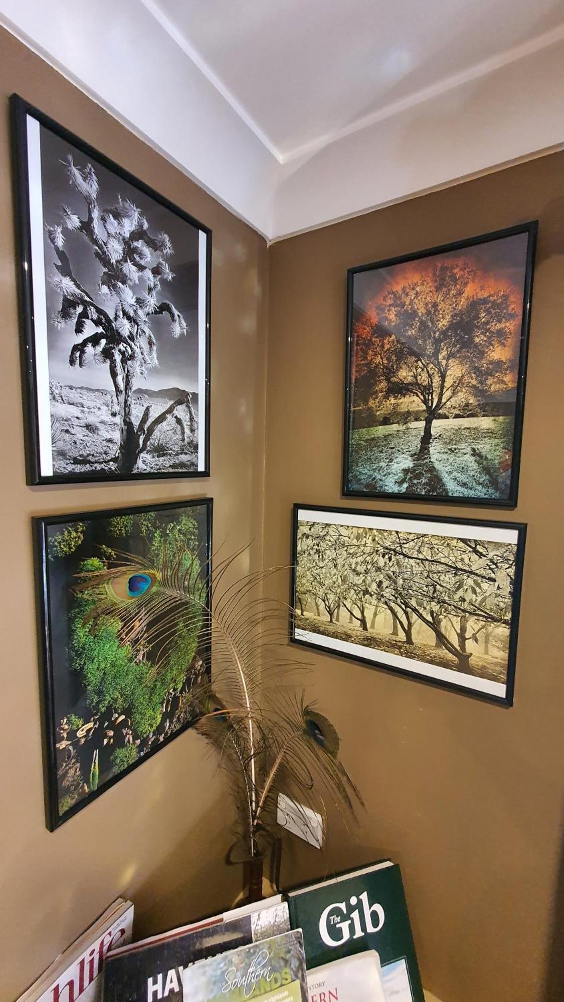 Bowral Road Art Gallery Bed And Breakfast Миттагонг Экстерьер фото