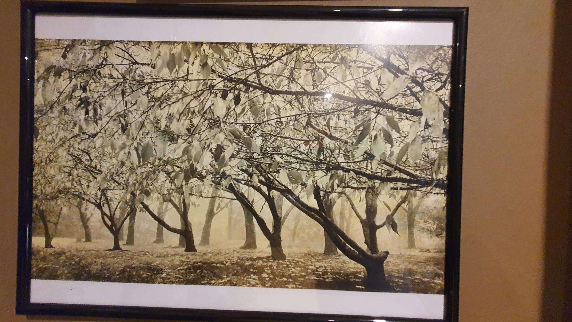 Bowral Road Art Gallery Bed And Breakfast Миттагонг Экстерьер фото