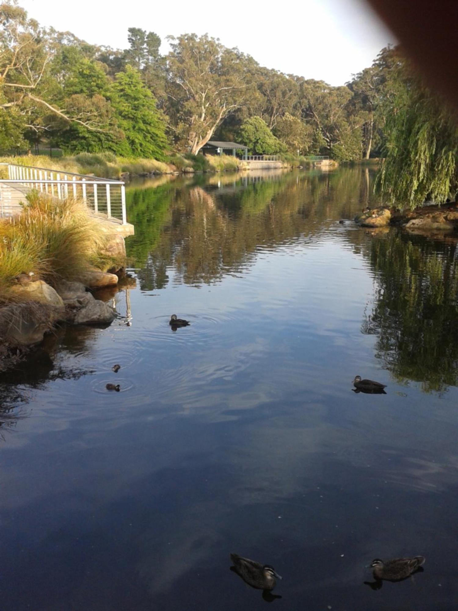 Bowral Road Art Gallery Bed And Breakfast Миттагонг Экстерьер фото